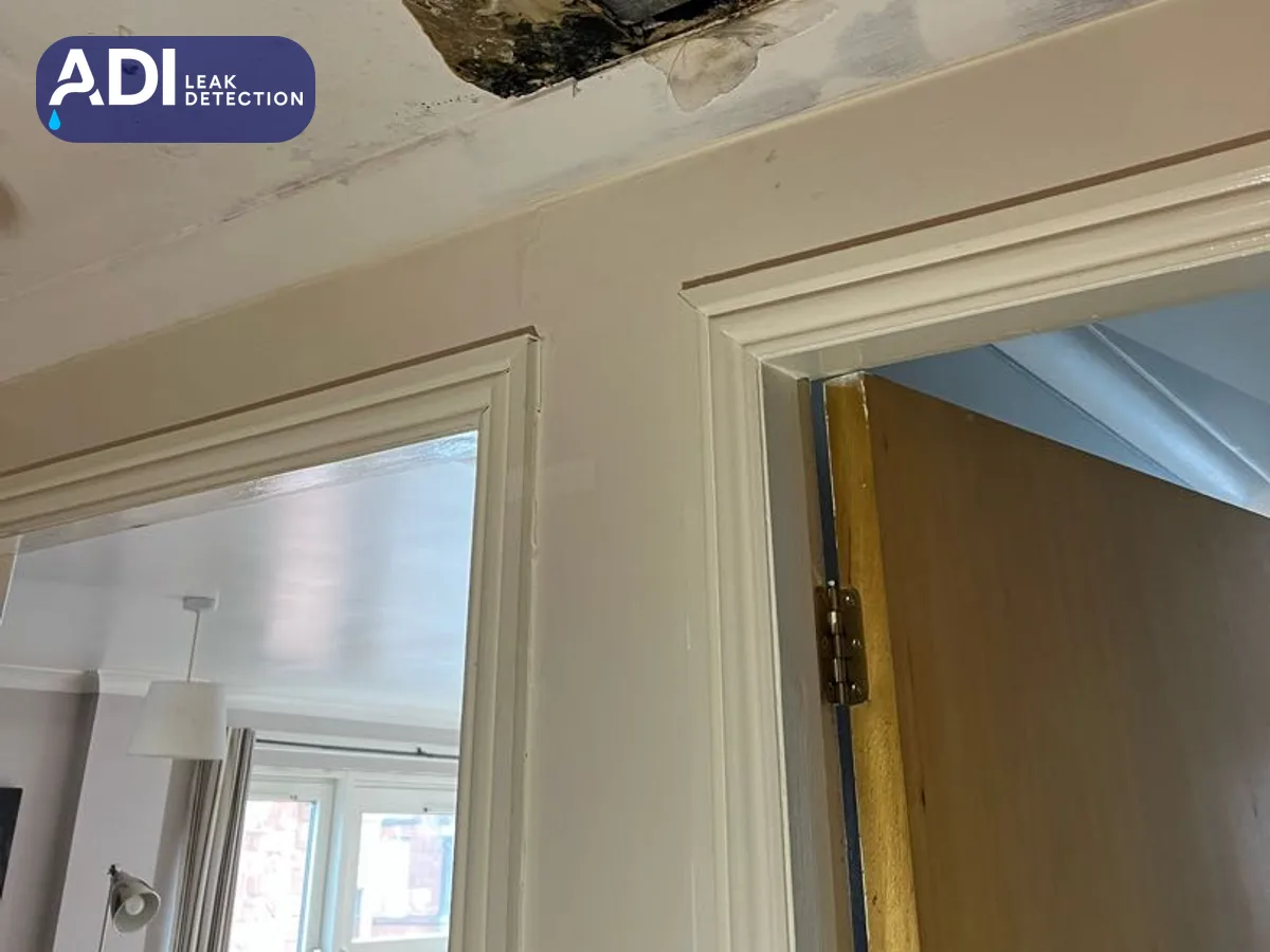 A damaged hallway ceiling, with plaster missing above a door frame
